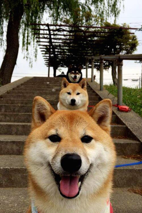 加冕之夜，阿克如何用一记绝杀改写历史