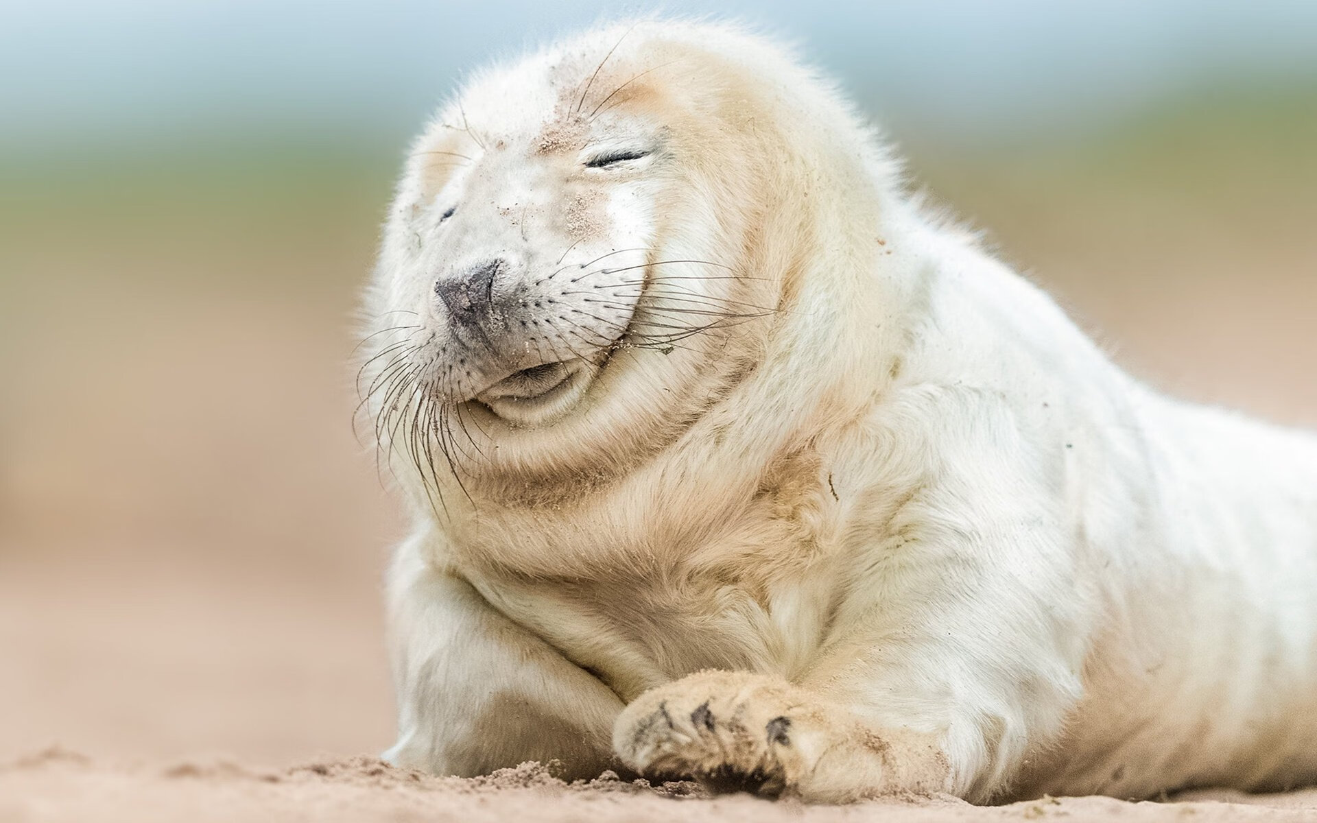 教科书级控制力遇上闪电战艺术,法比尼奥与哥伦比亚分别定义足球的两种胜利