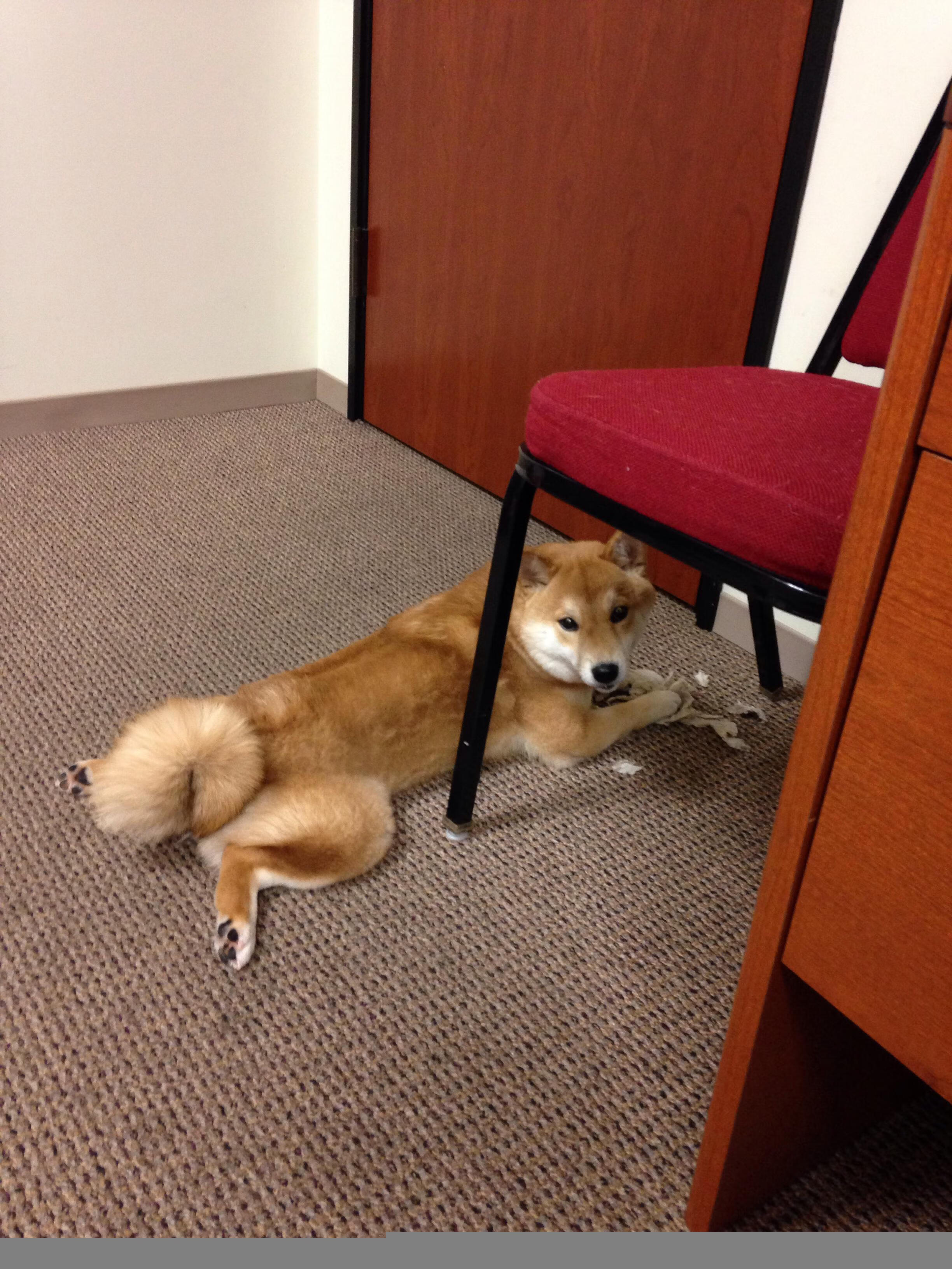 逆流之战,森林狼啃下湖人,西部王座暗潮涌动