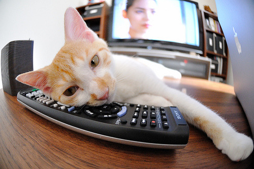 终极信任与窒息死守，库里国家德比妙传制胜与广东队加时封锁奇才的唯一密码