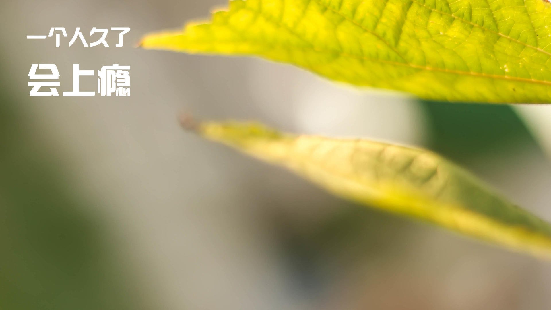 虚拟对决,当东方霸主遭遇字母哥,保罗的8分钟改变篮球宇宙