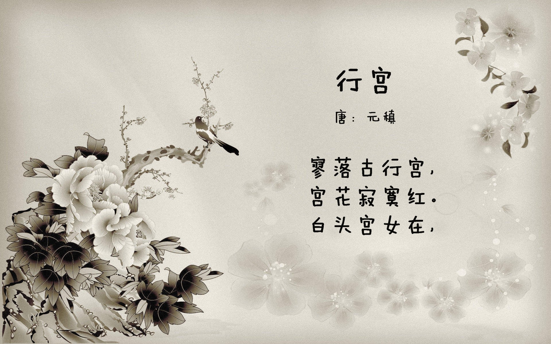 双线叙事，当F1收官战遇见中超—深圳队如何提前抢镜掘金式悬念