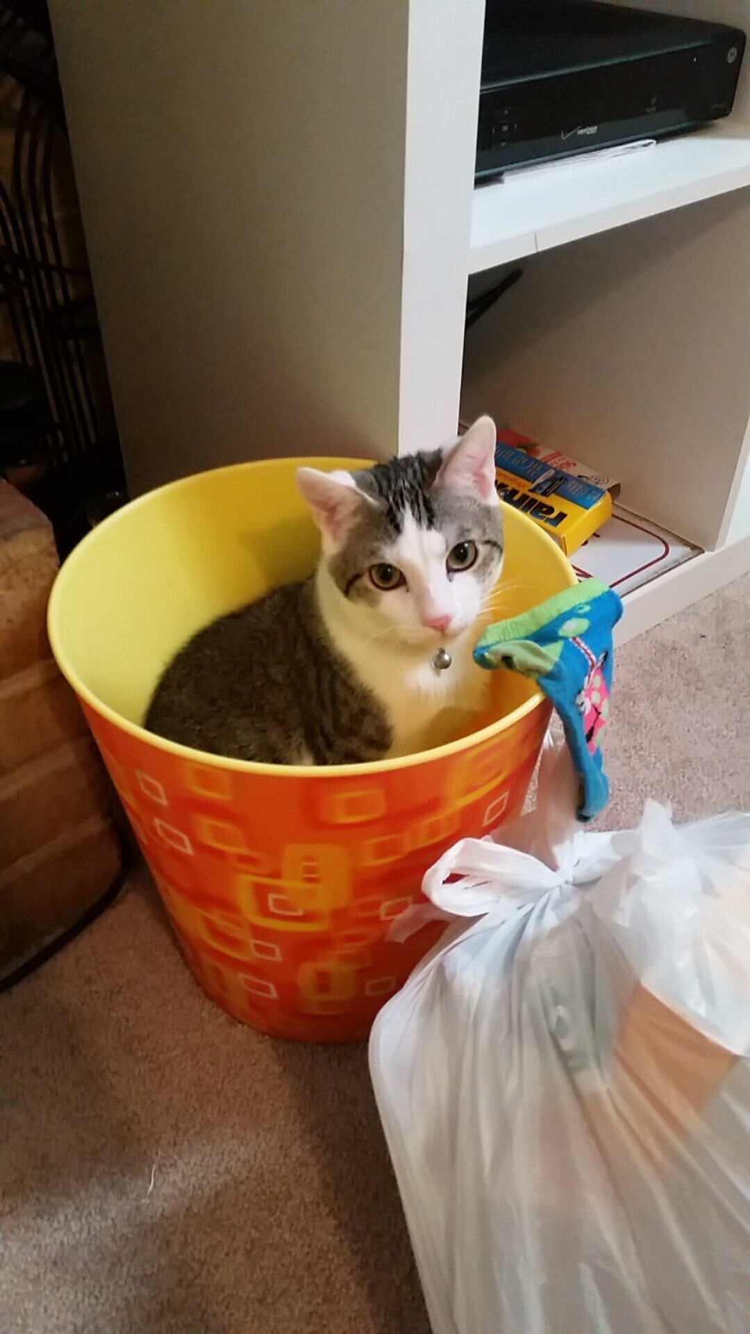 雷火电竞主播-寒夜孤星，小贾伦·杰克逊的唯一救赎，骑士用一场险胜刺破北境神话