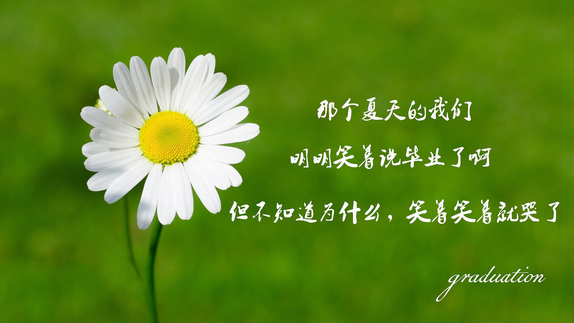 雷火电竞网址-以下是为您构思的标题与文章内容。文章将采用双线叙事，最终交汇的结构，刻意营造一种文字上的唯一性与意象的震撼