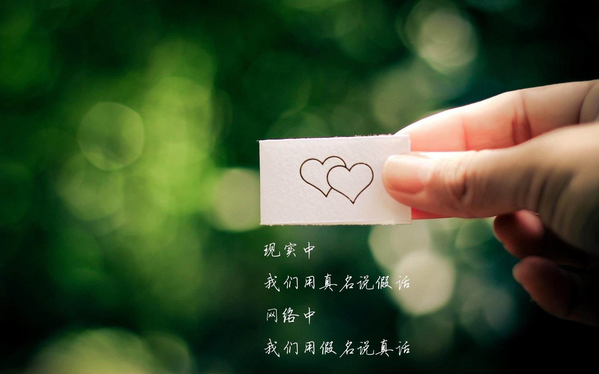 蓝白风暴中的孤勇者,当凯恩在2026世界杯E组撕开乌兹别克斯坦的铁幕