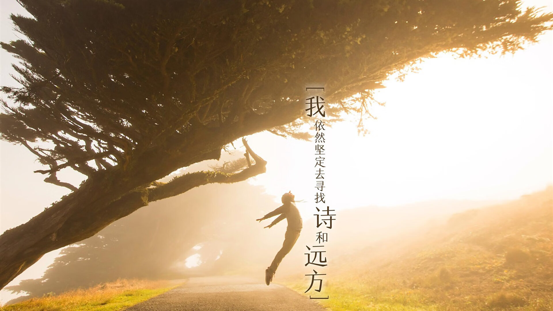 沙漠风暴席卷北美雄狮,2026世界杯D组,阿联酋如何用内马尔魔法完成对哥斯达黎加的全方位压制
